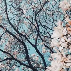 Meet your Posher, Brennan